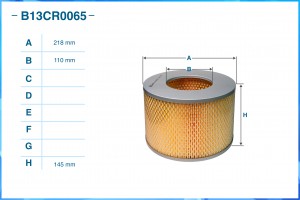 Фильтр воздушный B13CR0065 B13CR0065 CWORKS