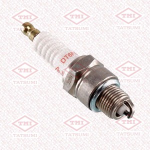 Свеча зажигания STANDARD DT6FS BP6H SKODA/CITROEN/RENAULT/SEAT/VOLGA THS1006 THS1006 TATSUMI