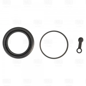 Ремкомплект суппорта Hyundai Accent (05-)/Kia Rio II (05-) перед. d=54мм (RCF 08 RCF084715 TRIALLI