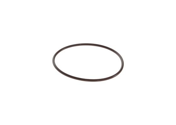 Уплотнительное кольцо F00N201473 BOSCH