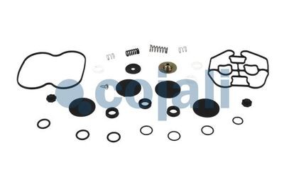 Р/к 4-х контр клапана [пркладки,пружина,упл.кольца} 6014114 COJALI