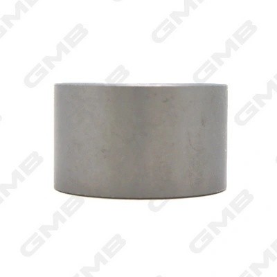 Ролик ГРМ OPEL Frontera (98-04),Monterey (98-99) натяжителя GMB GT90560 GMB