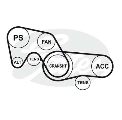 AUDI/FORD/MAZFA/RENAULT/VOLVO 6PK1175 6-PK-1173 GATES