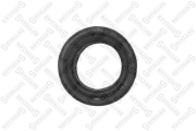 прокладка коллектора впускного!\ Audi 80/100, VW Passat/Golf 1.3-1.8 81> 11-26003-SX STELLOX