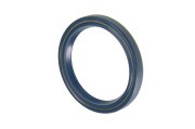 сальник КПП !70x90x10 ZF 16S112/130/150/160/190 AK/S6-65+GV80 95532393 EURORICAMBI