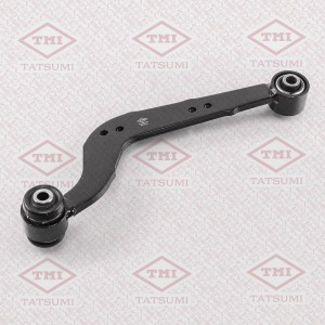 TOYOTA RAV 4 (2006>) TEE1721L TATSUMI