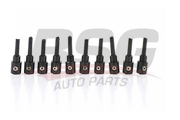 Жиклер FORD Connect (02-) омывателя стекла заднего BSG BSG30851001 BSG