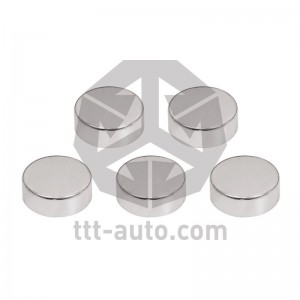 Ремкомплект суппорта KNORR SB SN SK (заглушка) (5шт.) TTT 15715 TTT AUTO