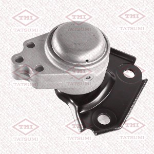 FORD FUSION/FIESTA TEG1381 TATSUMI