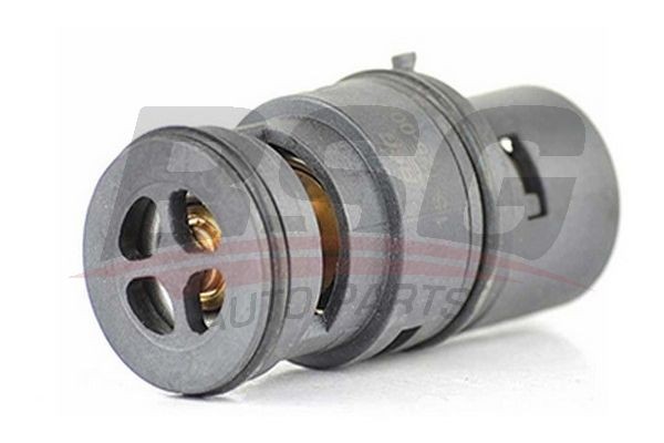 Термостат BMW 3 (E46),X5 (E53) BSG BSG15125002 BSG