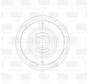 CITROEN C4 05>/ PEUGEOT 307 SA 2058 TRIALLI