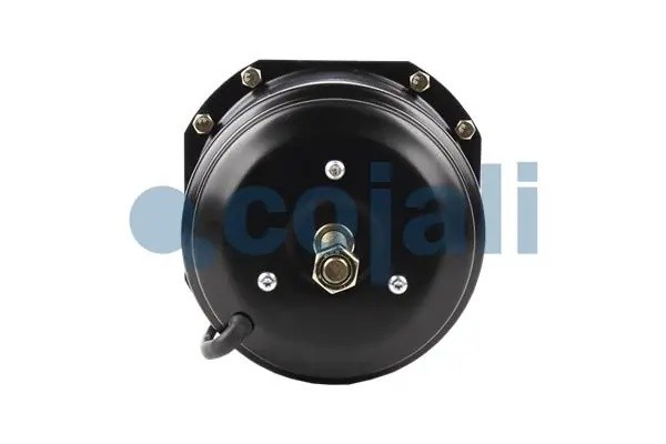 Энергоаккумулятор T24/30 MAN аналог Wabco 9253214000 2251406 COJALI