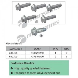 Болт SAF крепления диска тормозного комплект 6шт. MANSONS 600.256 MANSONS