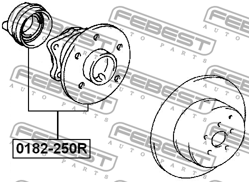 Ступица 0182-250R 0182-250R FEBEST