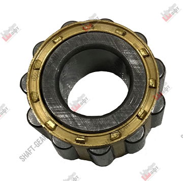 Подшипник роликовый цилиндрический RN2204X2MB SHAFT