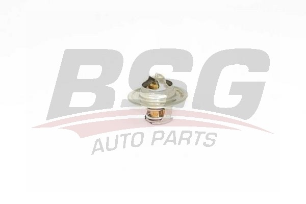 Термостат VW Golf (03-) (1.4) AUDI A3 (96-) (1.8),A6,TT (98-06) (1.8 T) (87C-102 BSG 90-125-001 BSG