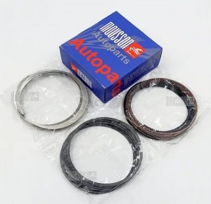 SRS1GRFE025 Кольца ремонтные + 0,25 мм комплект Toyota 1GR-FE (94,25x1,2x1,2x2,0 SRS1GRFE025 MOUSSON