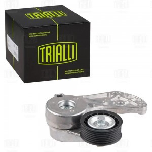 Ролик привод. ремня VW Touareg (02-)/Audi Q7 (06-) 3.2i/3.6i (с натяж. мех.) (CM CM5378 TRIALLI