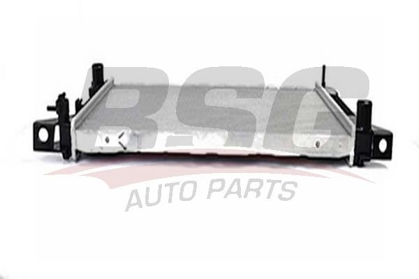 Радиатор FORD Transit (94-00) BSG BSG30520002 BSG