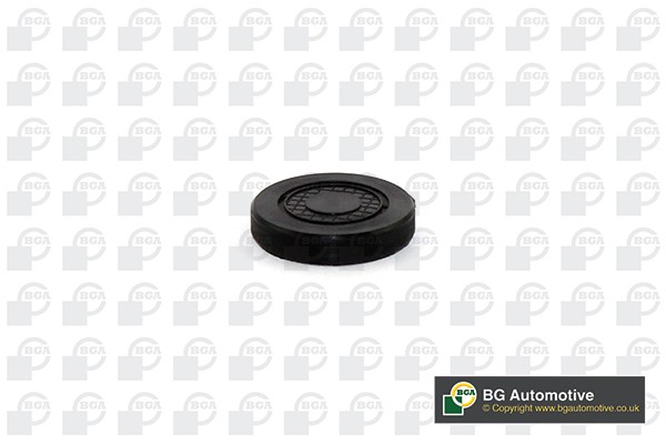 заглушка ГБЦ!\ Renault Megane/Duster 1.6/2.0 00>, Opel Vivaro 2.0 00-14 PL4602 BG AUTOMOTIVE