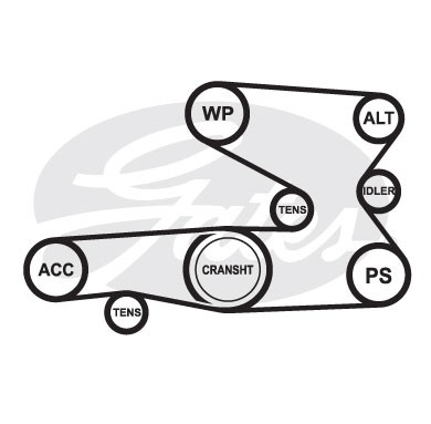 Поликлиновой ремень 6PK1548 (8653-10336) 6-PK-1548 GATES