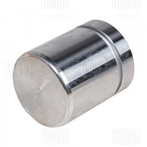 Поршень суппорта BMW 3 E90 (05-)/1 E81 (04-) зад. d=42мм (RCF 182018) RCF182018 TRIALLI