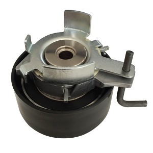 Ролик ремня ГРМ FORD FOCUS/MONDEO/ VOLVO S60/S80 1.6 10- (INA 531087710) AG02208 AG02208 MILES