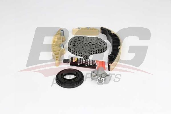 натяжитель цепи ГРМ!\ Ford Transit 2.4 Duratorq-TDCI (120PC) 06> BSG30102001 BSG