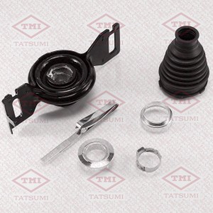 TOYOTA RAV 4 (2006-2013) TDG1024 TATSUMI