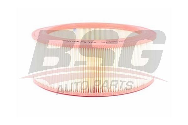 Фильтр воздушный FORD Transit (85-94) (2.0/2.5) BSG BSG30135001 BSG