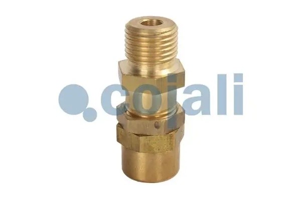 Клапан многоцикловой защиты 2380154 COJALI