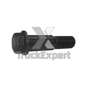 MAN/MERCEDES BENZ M14x1.5x16x60 245 00 007 TRUCKEXPERT