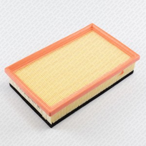 HAVAL JOLION (2021>) LF0538 GREEN FILTER