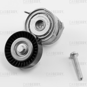 Натяжитель поликлин.ремня с роликом 55CA300 55CA300 CARBERRY