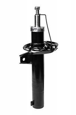 Амортизатор передний, GAS F21GR0003 F21GR0003 CWORKS