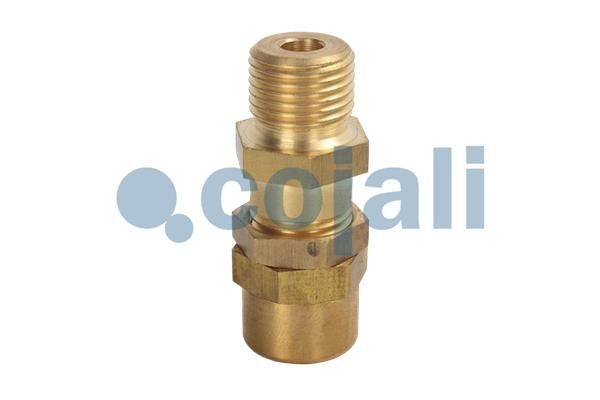 КЛАПАН МНОГОЦИКЛОВОЙ ЗАЩИТЫ 2380150 COJALI