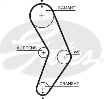 Ремень ГРМ 5662XS (8597-15662) 5662XS GATES