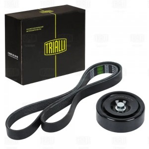 Ремень генератора (6PK1256 + ролик) GD1201 TRIALLI