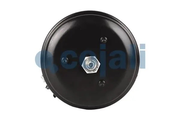 Энергоаккумулятор (дисковый тормоз) прав. TYPE 24/24 2251513 COJALI