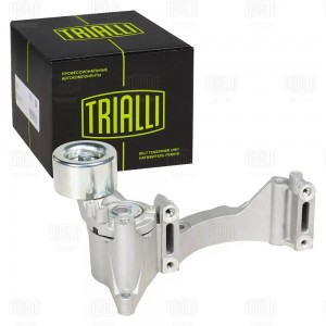 Ролик привод. ремня Toyota Land Cruiser 200 (07-) 4.5d [VD] (с натяж. мех.) гене CM 5981 TRIALLI