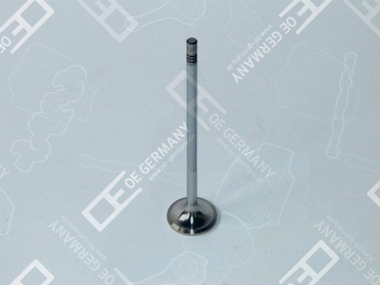 Клапан впускной D13; 42 x 8 x 192 030520D13000 OE GERMANY