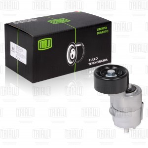 HYUNDAI SANTA FE (CM)/ TUCSON (2004>) CM 0807 TRIALLI