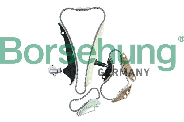 РЕМКОМПЛЕКТ ЦЕПИ ГРМ B10223 B10223 BORSEHUNG