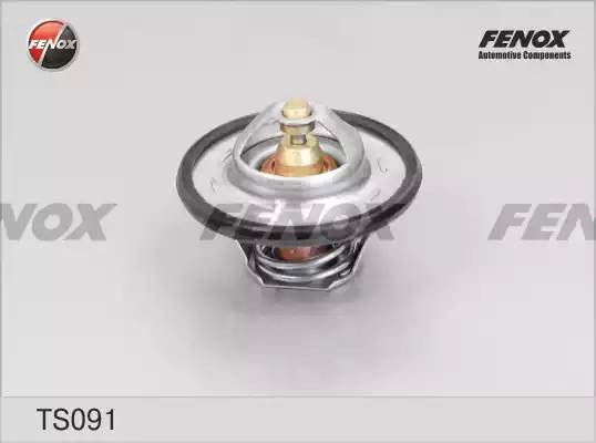 Термостат TS091 FENOX