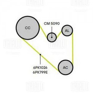 Ролик привод. ремня с натяж. мех. для ам VW Tiguan (15-) 2.0d (CM 5090) CM 5090 TRIALLI