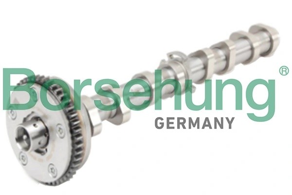 распредвал выпускной!\Audi A3, VW Passat, Skoda Octavia 1.8TSI BYT, BZB 06> B18979 BORSEHUNG