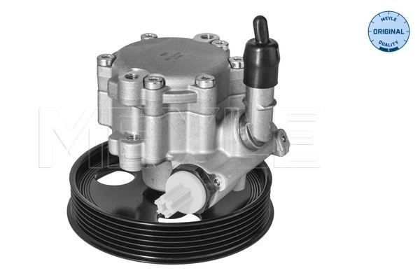 Насос гидроусилителя руля DACIA DUSTER, DUSTER/SUV RENAULT DUSTER 1.5 1614631000 16146310005 MEYLE