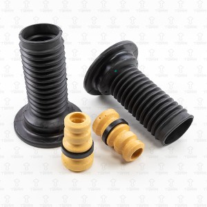 RAV 4 (2006-2013) DR0108 TORR