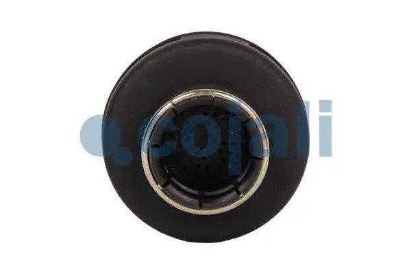 Глушитель влагоотделителя (ан.Wabco 4324070700/43204070120) (замена 2203103) (Co 2203102 COJALI
