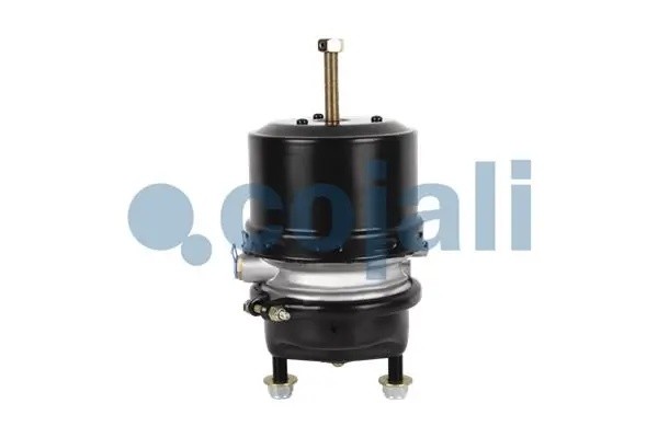 Энергоаккумулятор TYPE20/24 DAF/BPW/MB аналог Knorr BS9404 2351306 COJALI